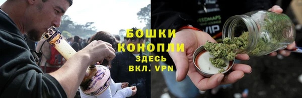 дживик Вязьма