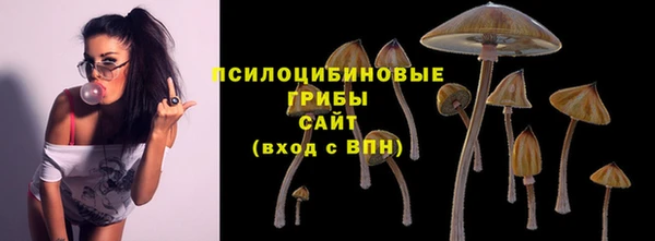 дживик Вязьма